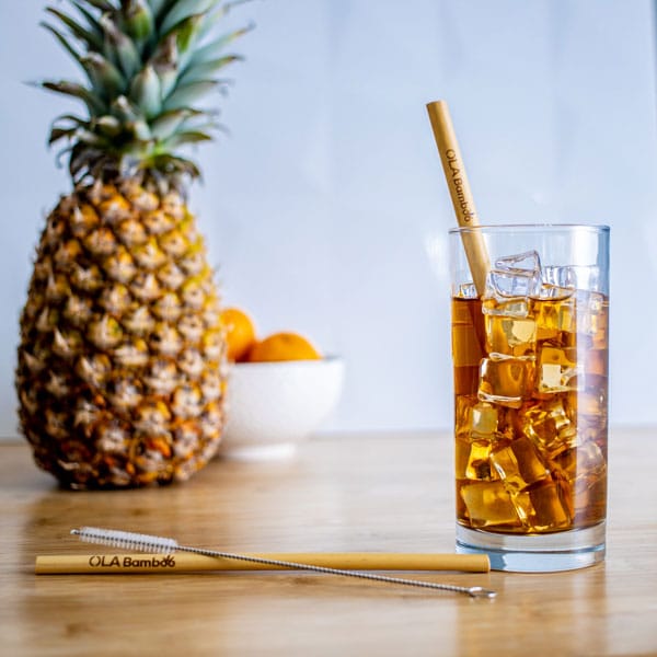 Bamboo Straws (6)